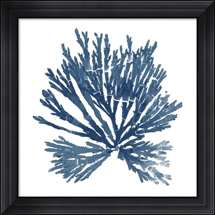 Framed Pacific Sea Mosses Blue on White II Print