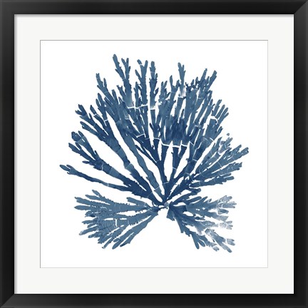 Framed Pacific Sea Mosses Blue on White II Print