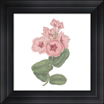 Framed Monument Etching Tile Flowers VI Print