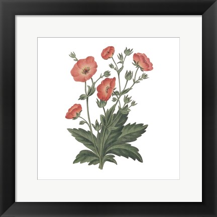 Framed Monument Etching Tile Flowers V Print