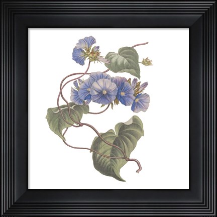 Framed Monument Etching Tile Flowers I Print