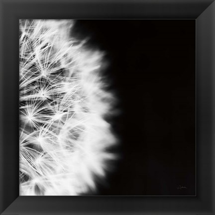 Framed Dandelion on Black II Print