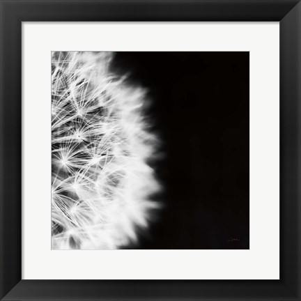 Framed Dandelion on Black II Print