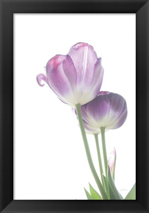 Framed Tulip Time III Print