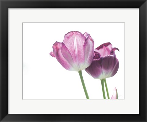 Framed Tulip Time I Print