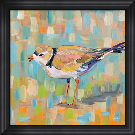Framed Coastal Plover IV Print