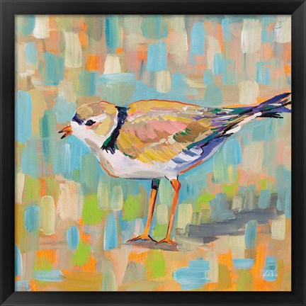 Framed Coastal Plover IV Print