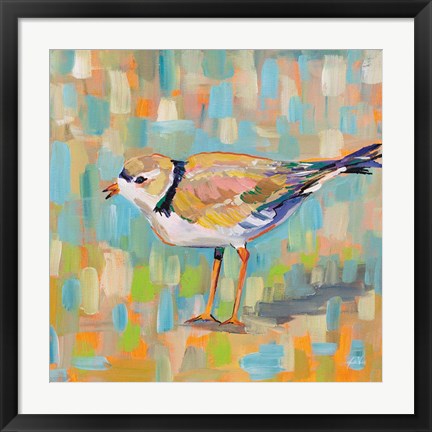 Framed Coastal Plover IV Print