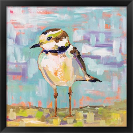 Framed Coastal Plover II Print