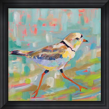 Framed Coastal Plover I Print