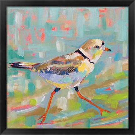 Framed Coastal Plover I Print