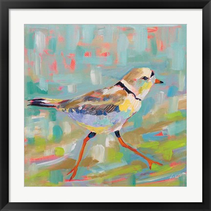 Framed Coastal Plover I Print