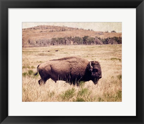 Framed Buffalo I Print