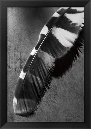 Framed Feather Shadow II Print