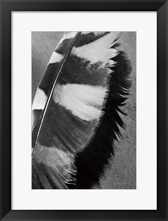 Framed Feather Shadow I Print