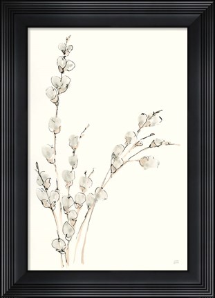 Framed Pussy Willows V Print