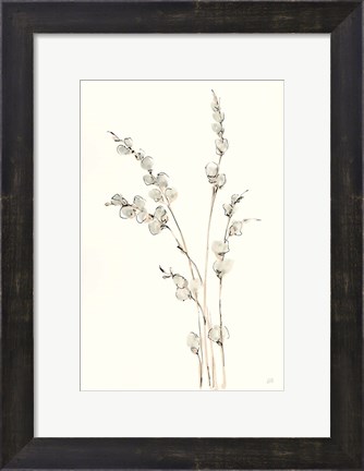 Framed Pussy Willows IV Print