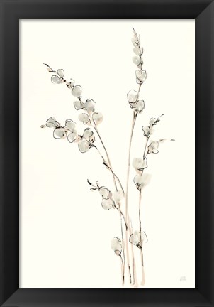 Framed Pussy Willows IV Print