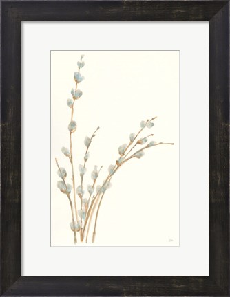 Framed Pussy Willows III Print