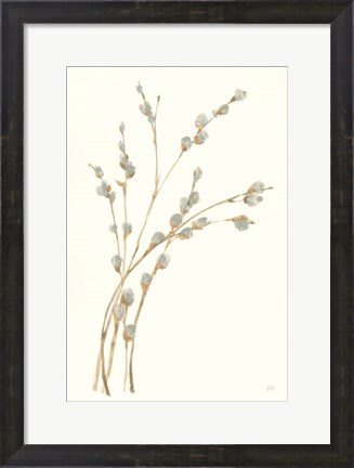 Framed Pussy Willows II Print
