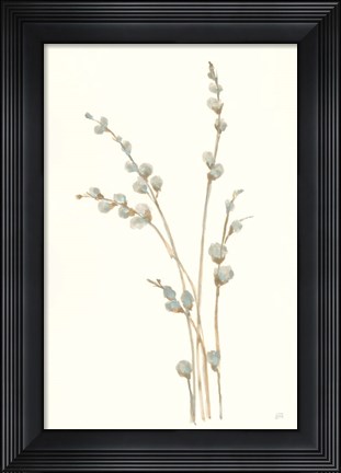 Framed Pussy Willows I Print