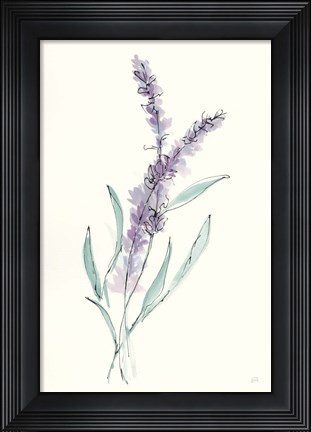Framed Lavender IV Print