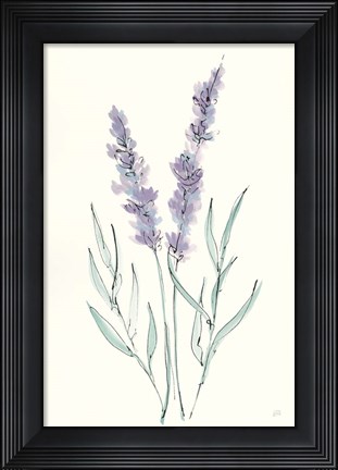 Framed Lavender III Print
