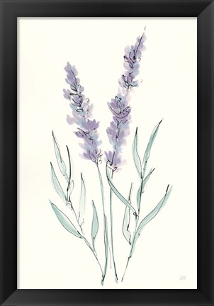 Framed Lavender III Print