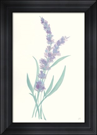 Framed Lavender II Print