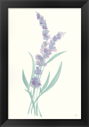 Framed Lavender II Print