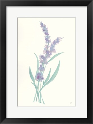 Framed Lavender II Print