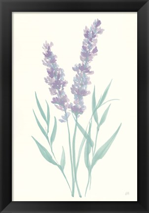Framed Lavender I Print