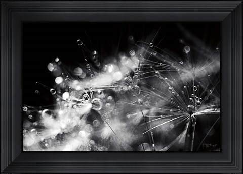 Framed Dandelion Abstract II Print