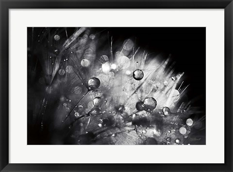 Framed Dandelion Abstract I Print