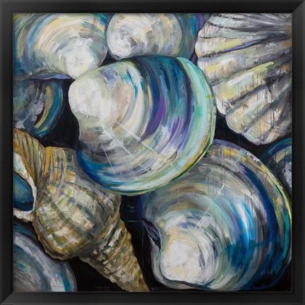 Framed Key West Shells Print