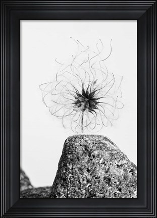 Framed Electrifying Print