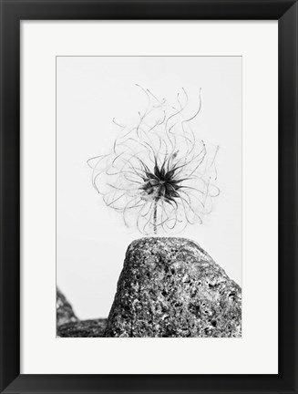 Framed Electrifying Print