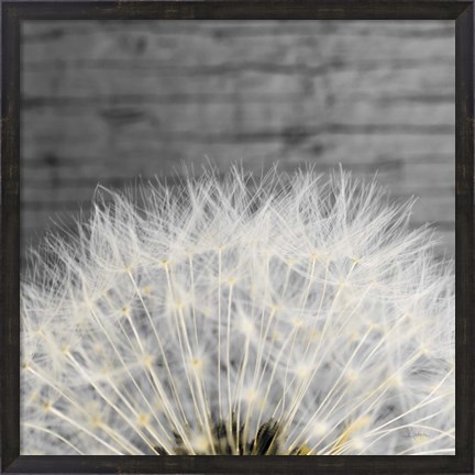 Framed Delicate Dandelion Print