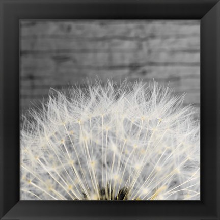 Framed Delicate Dandelion Print