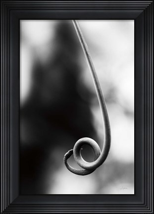 Framed Curly Cue Print