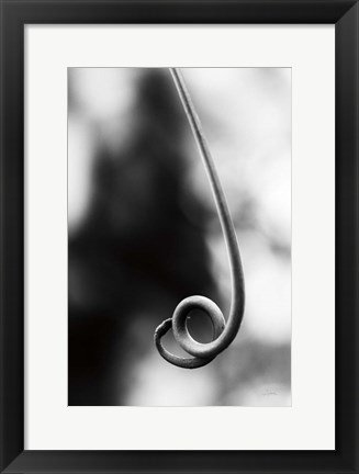 Framed Curly Cue Print