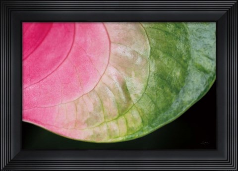 Framed Pink and Green Print