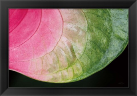 Framed Pink and Green Print