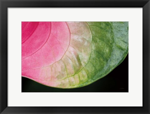 Framed Pink and Green Print