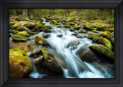 Framed Moss Rocks Print