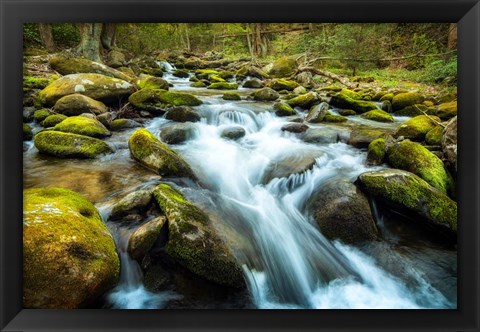 Framed Moss Rocks Print