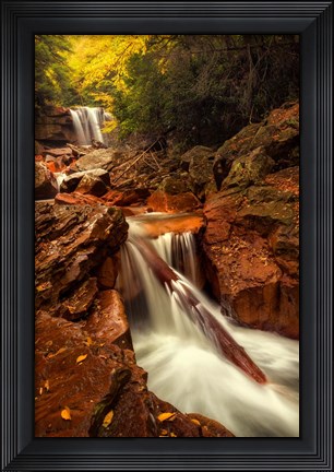 Framed Natures Path Print
