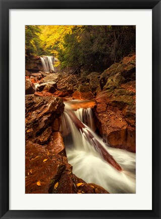 Framed Natures Path Print