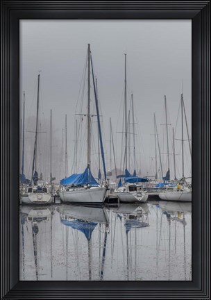 Framed Sailing Boats Print