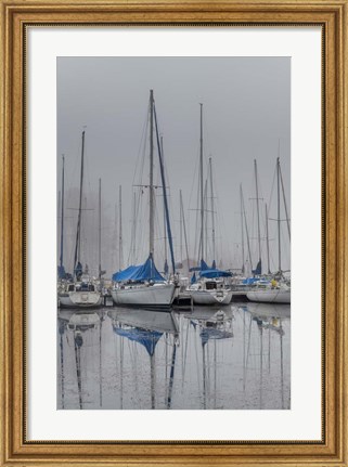 Framed Sailing Boats Print